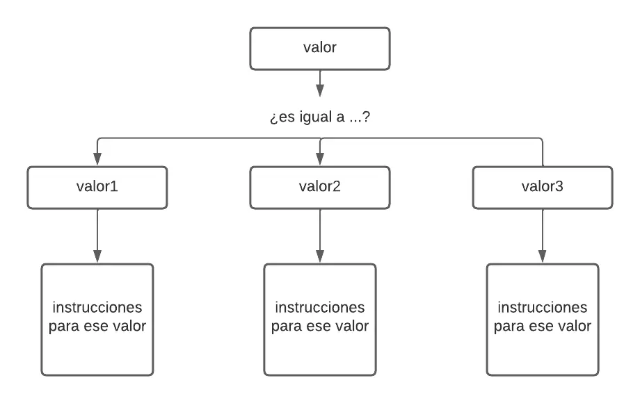 esquema del funcionamiento de la instrucción switch case